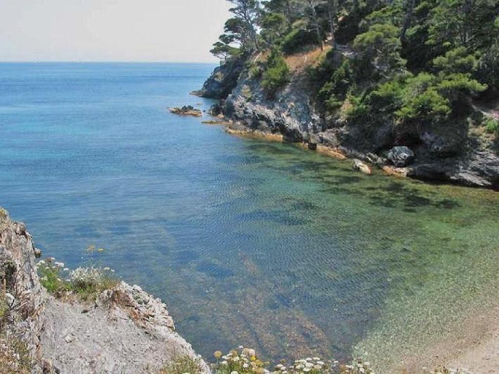 183 D20 PRESQU ILE DE GIENS 3_000028.jpg